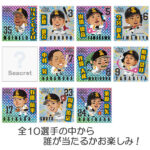 MP-HKS-KS-001