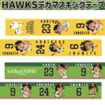 MP-HKS-MT-001
